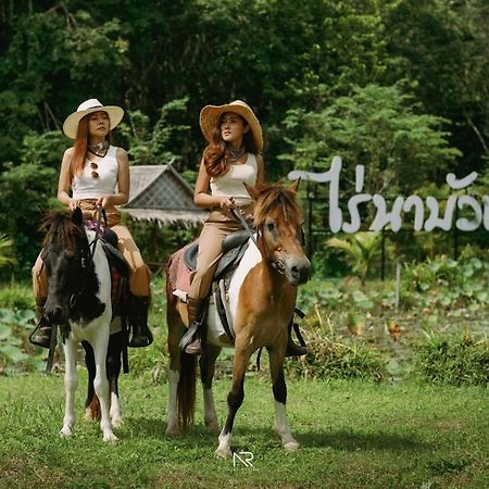 ไร่นาบัวหลวง คาเฟ่ & ฟาร์มสเตย์ Raina Bualuang Cafe & Farm Stay Ban Na No Exterior photo
