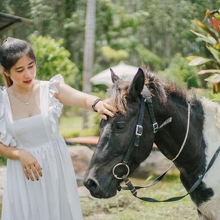 ไร่นาบัวหลวง คาเฟ่ & ฟาร์มสเตย์ Raina Bualuang Cafe & Farm Stay Ban Na No Exterior photo