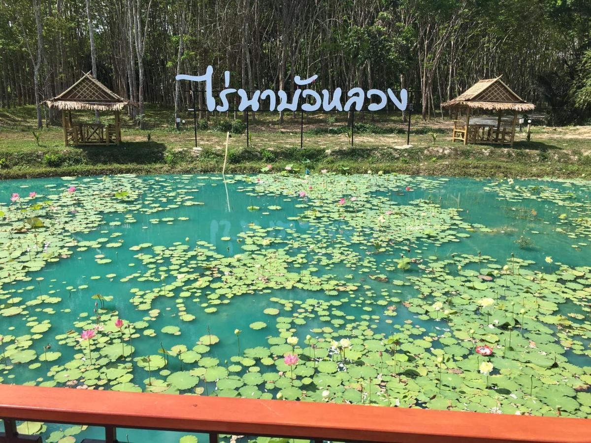 ไร่นาบัวหลวง คาเฟ่ & ฟาร์มสเตย์ Raina Bualuang Cafe & Farm Stay Ban Na No Exterior photo