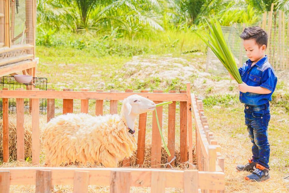 ไร่นาบัวหลวง คาเฟ่ & ฟาร์มสเตย์ Raina Bualuang Cafe & Farm Stay Ban Na No Exterior photo
