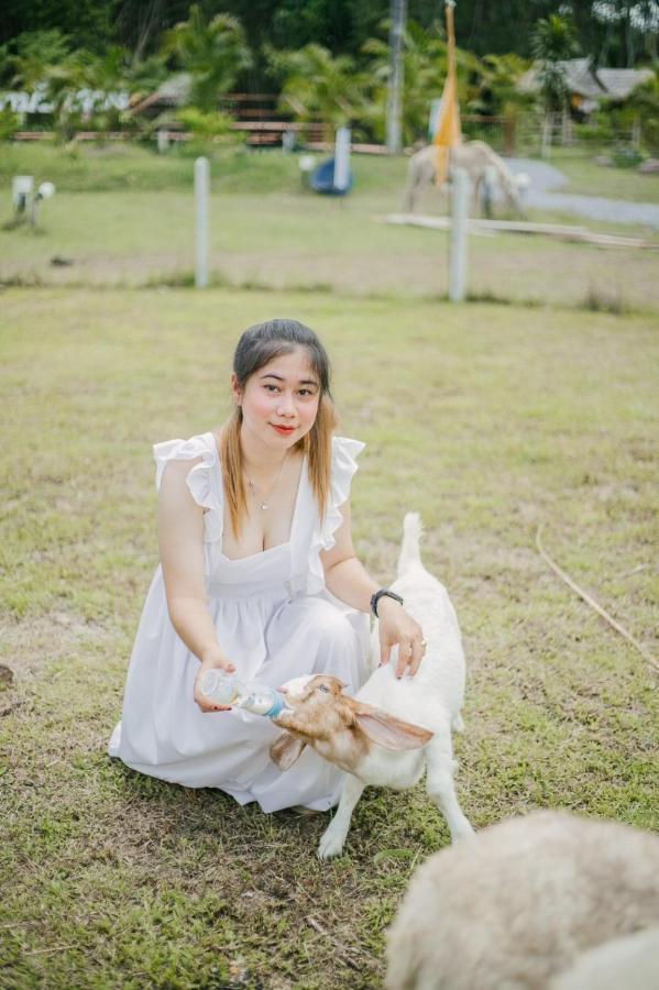 ไร่นาบัวหลวง คาเฟ่ & ฟาร์มสเตย์ Raina Bualuang Cafe & Farm Stay Ban Na No Exterior photo