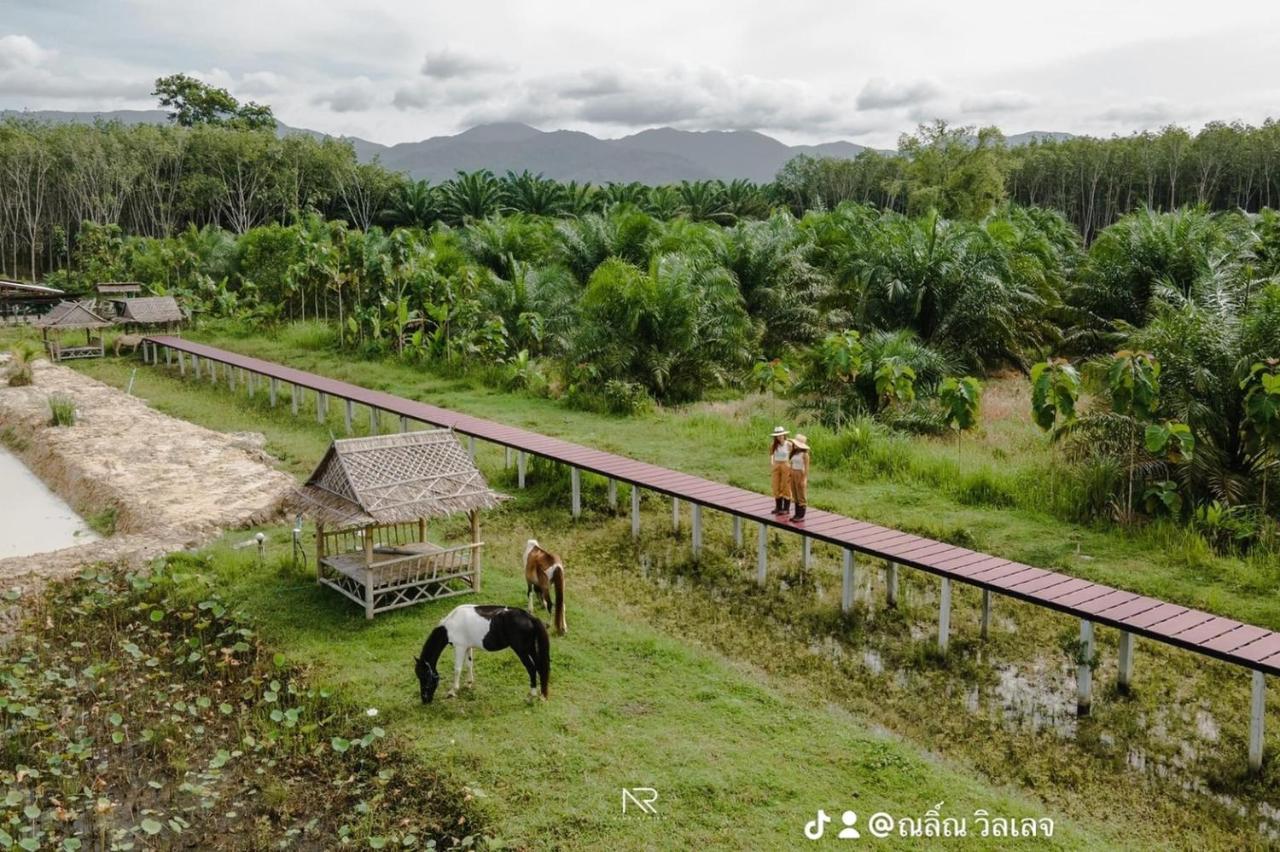 ไร่นาบัวหลวง คาเฟ่ & ฟาร์มสเตย์ Raina Bualuang Cafe & Farm Stay Ban Na No Exterior photo