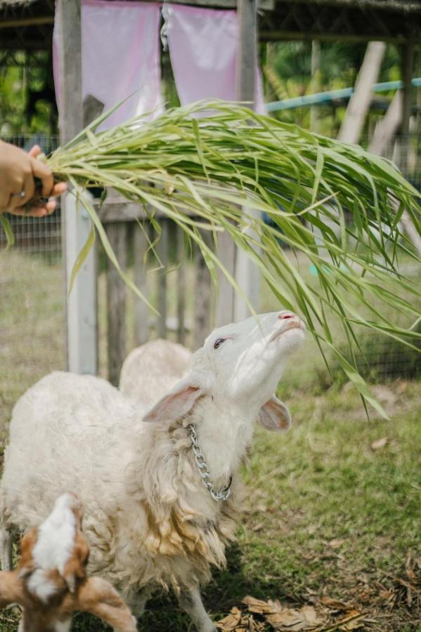 ไร่นาบัวหลวง คาเฟ่ & ฟาร์มสเตย์ Raina Bualuang Cafe & Farm Stay Ban Na No Exterior photo