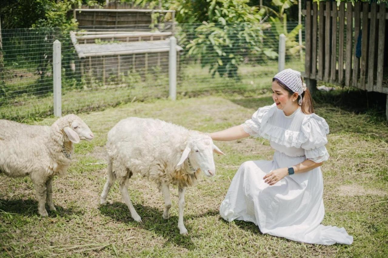 ไร่นาบัวหลวง คาเฟ่ & ฟาร์มสเตย์ Raina Bualuang Cafe & Farm Stay Ban Na No Exterior photo
