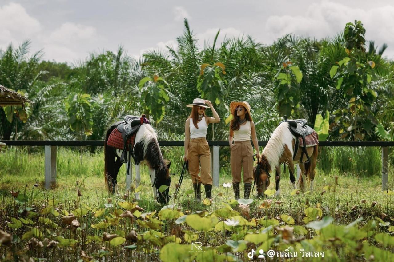 ไร่นาบัวหลวง คาเฟ่ & ฟาร์มสเตย์ Raina Bualuang Cafe & Farm Stay Ban Na No Exterior photo