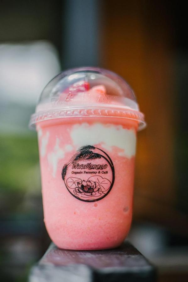 ไร่นาบัวหลวง คาเฟ่ & ฟาร์มสเตย์ Raina Bualuang Cafe & Farm Stay Ban Na No Exterior photo